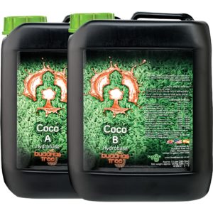 Buddha's Tree Coco 5L (A + B Complete Set)