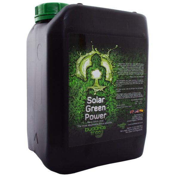 Buddha's Tree Solar Green Power 5L