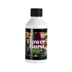 Buddha's Tree Flower Burst 100ml