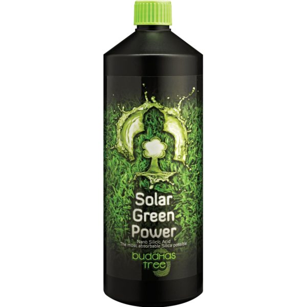 Buddha's Tree Solar Green Power 1L