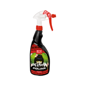 Shogun Geisha 10L