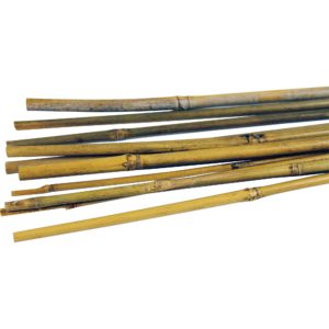 Bamboo 1.2m (Pack of 25)
