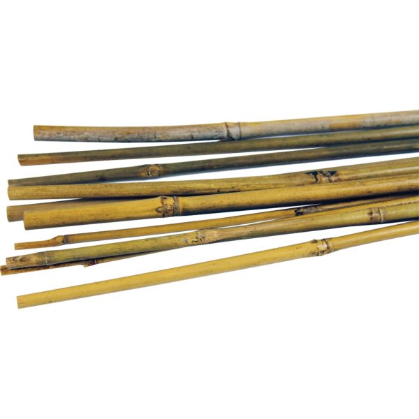 Bamboo Cane 1.2m (Pack of 250)