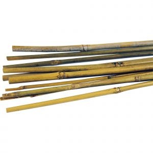 Bamboo Cane 1.5m (Pack of 250)