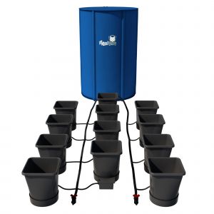 autopot XL pot system 12